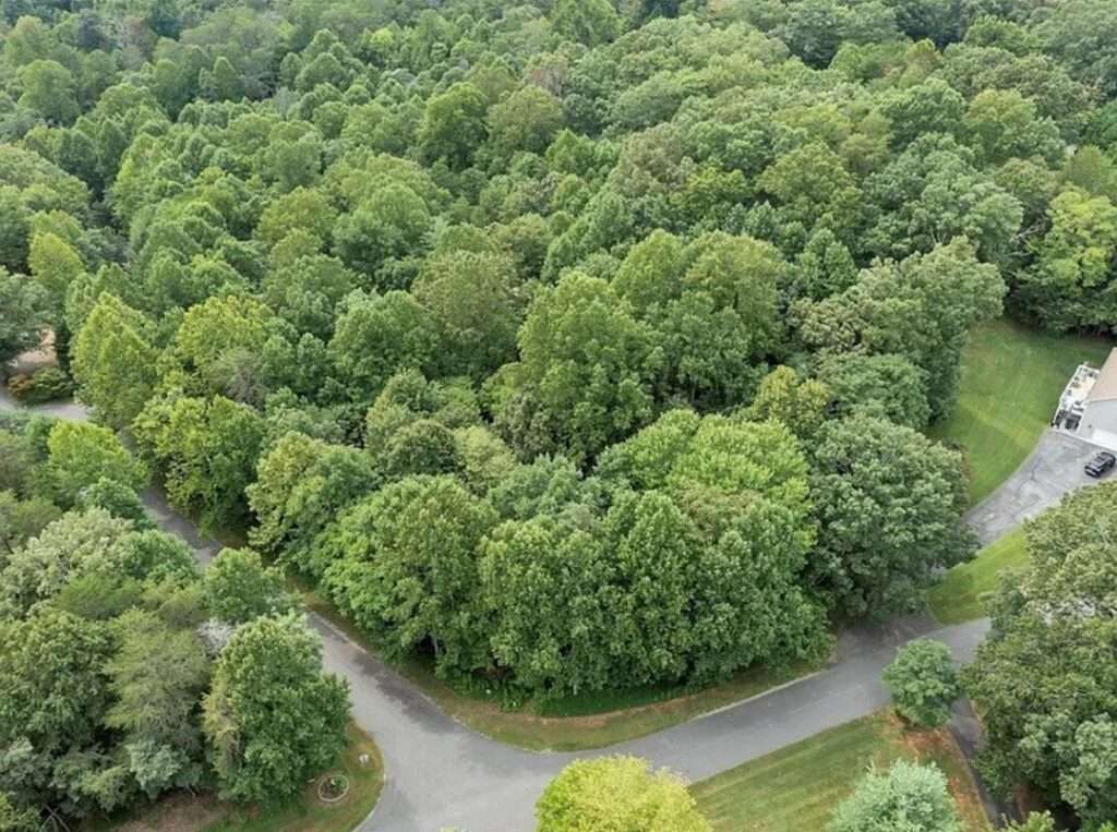 Land Development/ Stick Home 🏡